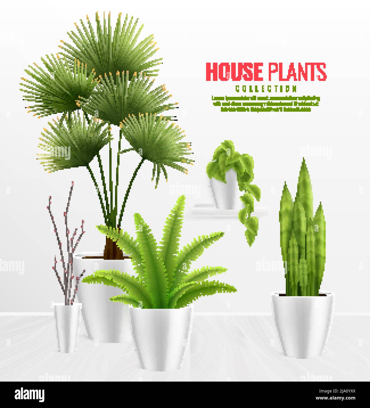 House plants in pot composition realistic concept with plants collection on stylish white background vector illustration Stock Vector