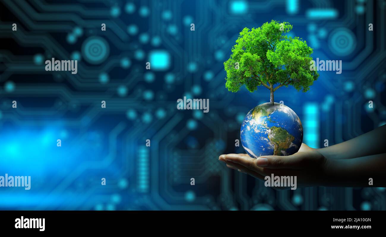 Man hand holding Tree on Earth with technological convergence blue background. Green computing, csr, IT ethics, Nature technology interaction. Stock Photo