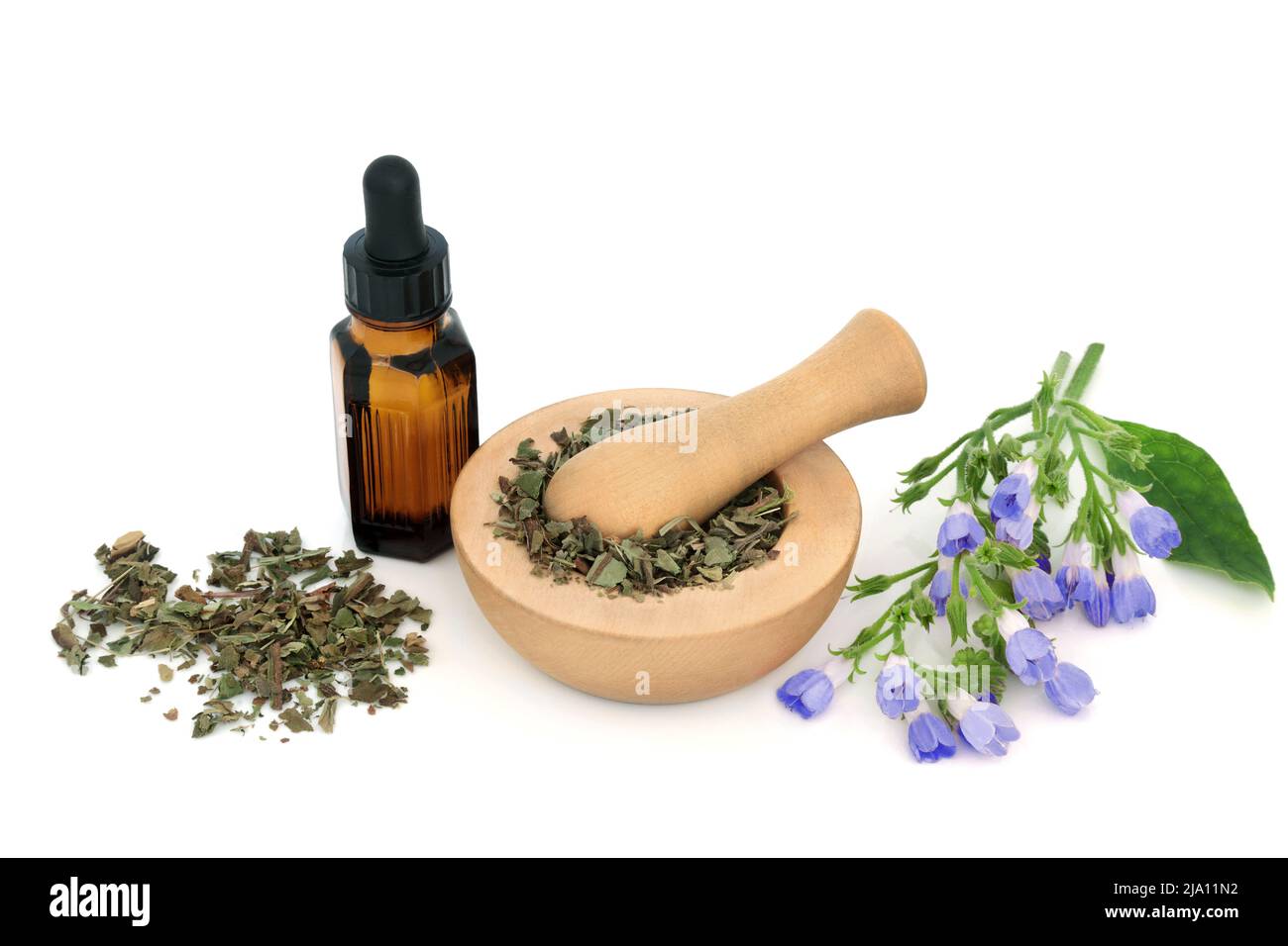 Lungwort herb leaves and flowers used in herbal plant medicine to treat