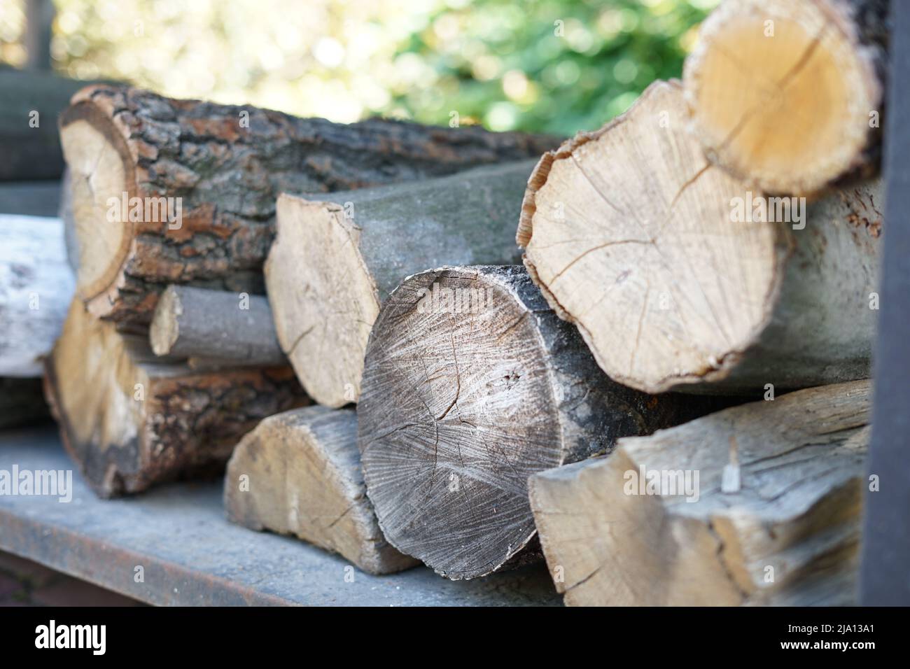 Cut tree for firewood. Background from cut firewood Stock Photo Alamy