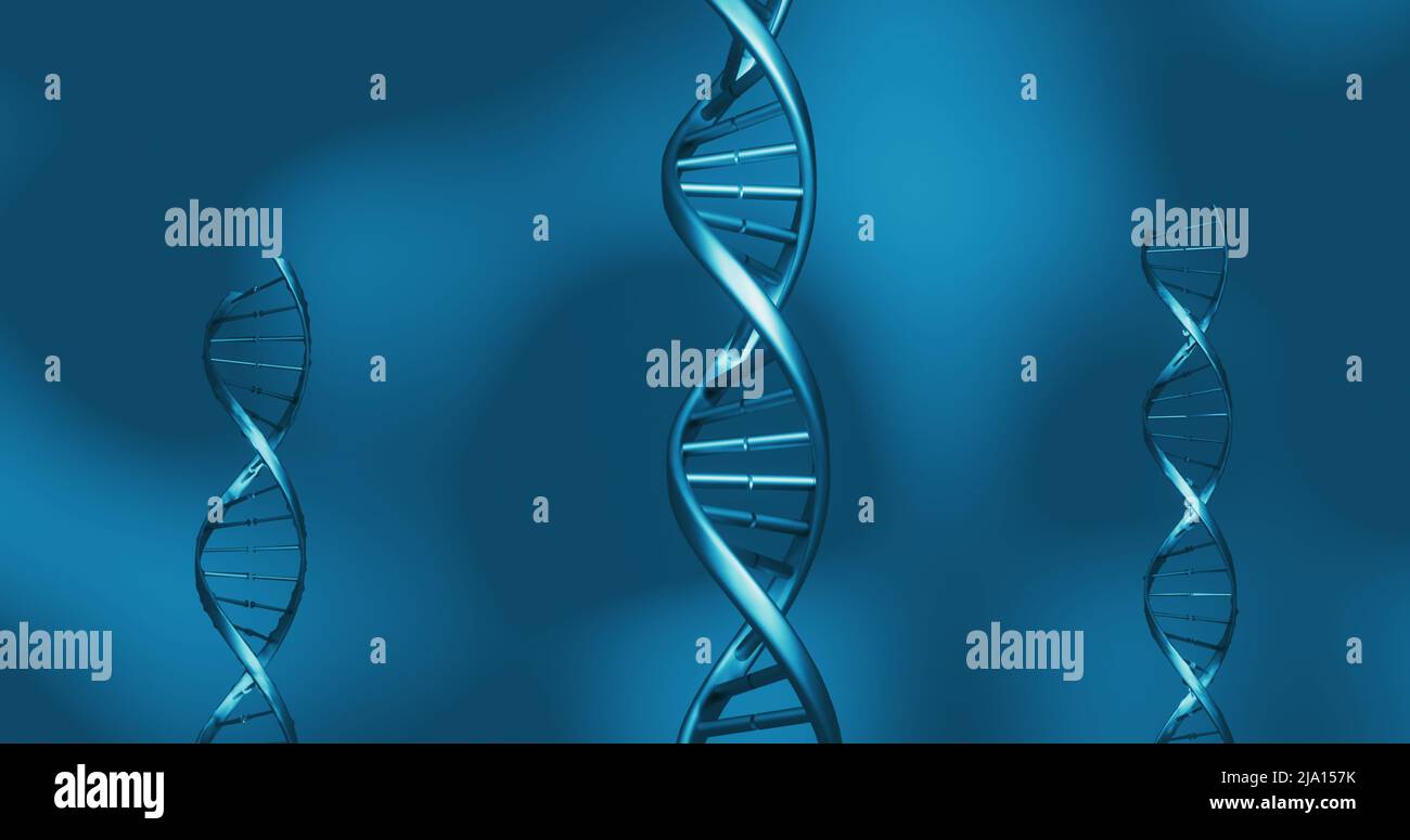 Image of macro of blue 3d dna strands spinning Stock Photo - Alamy