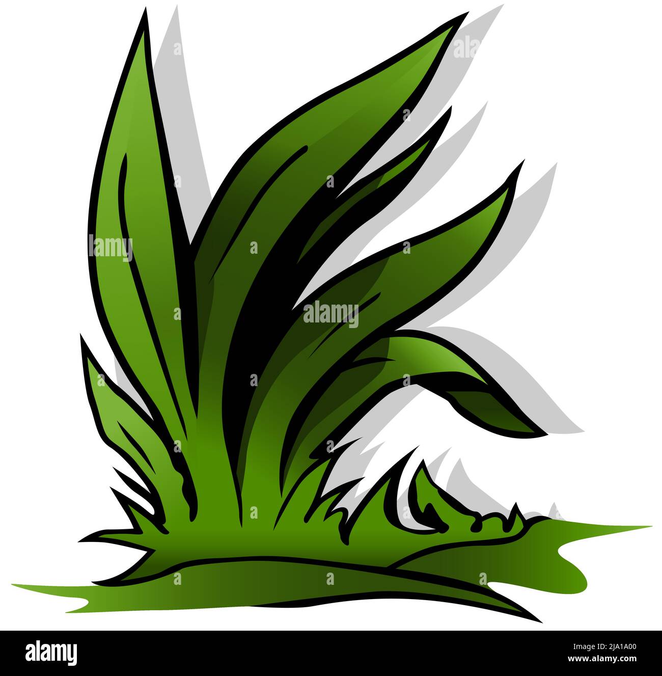 Long and broad leaf Stock Vector Images - Alamy