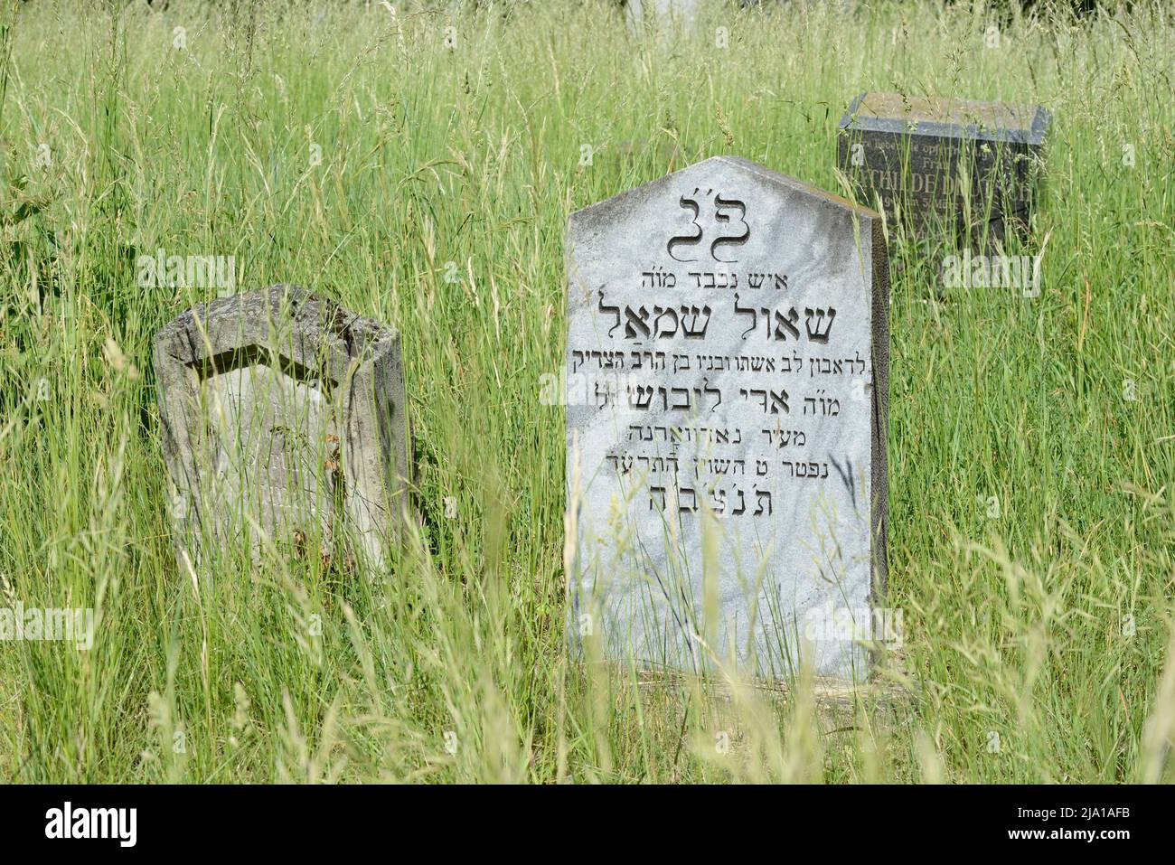 Vienna, Austria. The Vienna Central Cemetery. The Jewish department at the central cemetery in Vienna Stock Photo