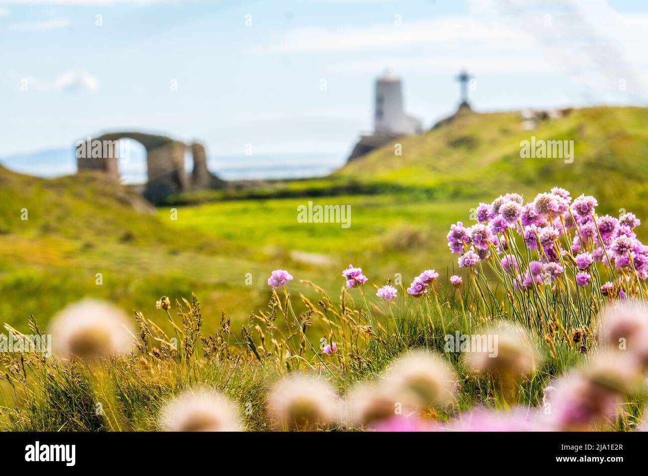 Llanddwyn Island near Newborough on Anglesey, Wales Stock Photo