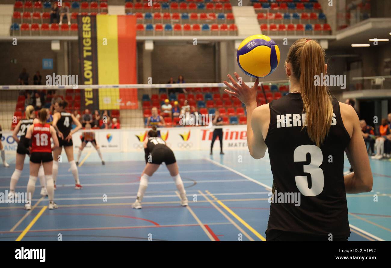 Belgium's Britt Herbots pictured during a friendly volleyball game between  Belgian national women's team the Yellow Tigers and the Netherlands, Thursd  Stock Photo - Alamy