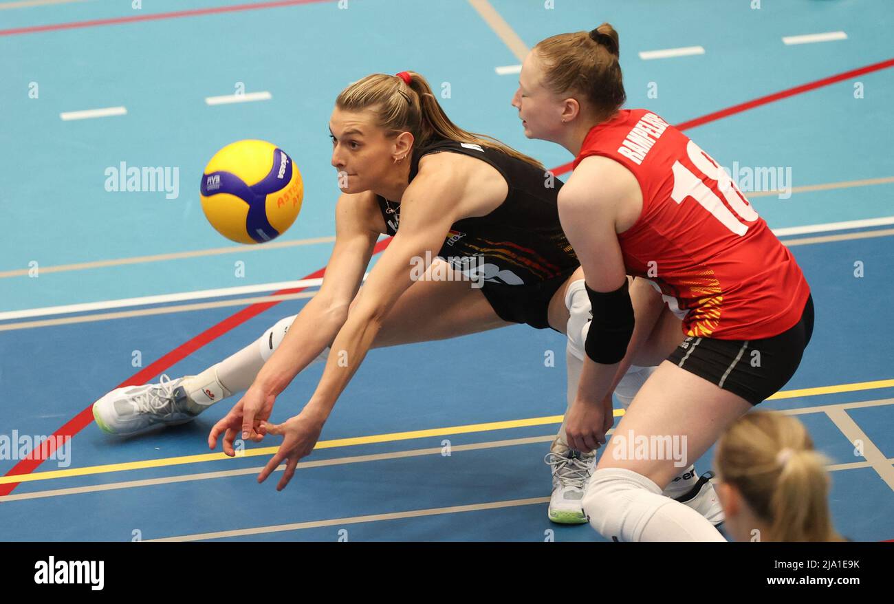 Belgium's Britt Herbots pictured during a friendly volleyball game between  Belgian national women's team the Yellow Tigers and the Netherlands, Thursd  Stock Photo - Alamy