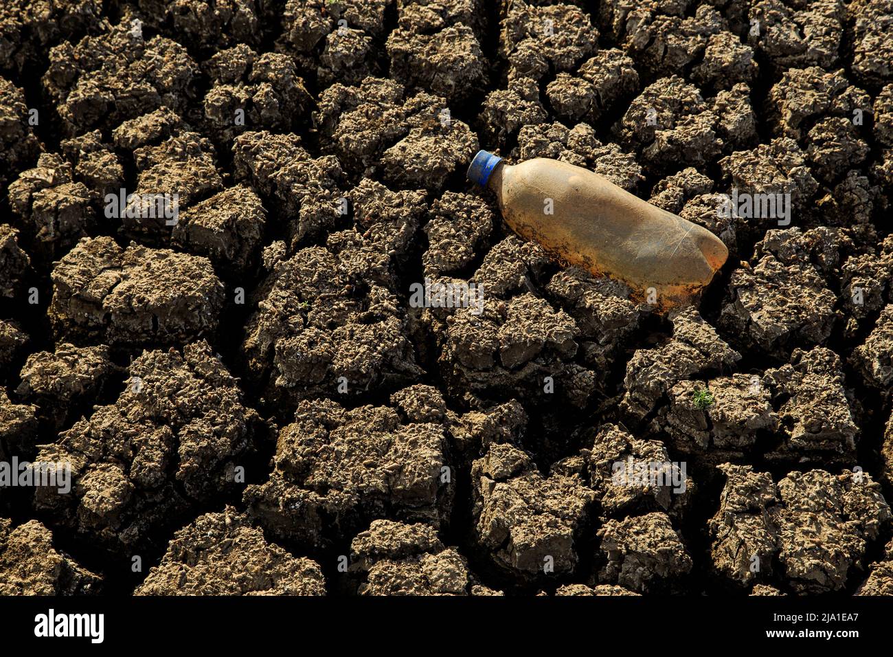 pet bottle on cracked soil of a dry lake bed Stock Photo