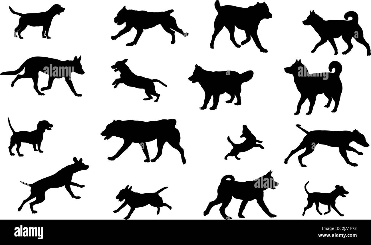 Group of dogs various breed. Black dog silhouette. Running, standing, walking, jumping dogs. Isolated on a white background. Pet animals. Vector illus Stock Vector