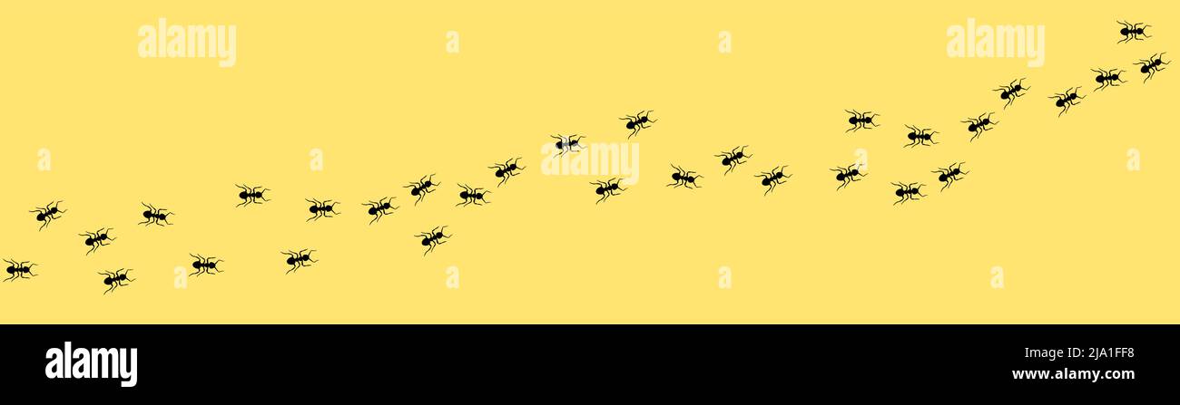 Ant trail A line of worker ants marching in search of food Vector illustration horizontal banner Ant road column Teamwork Hard work metaphor. Black in Stock Vector