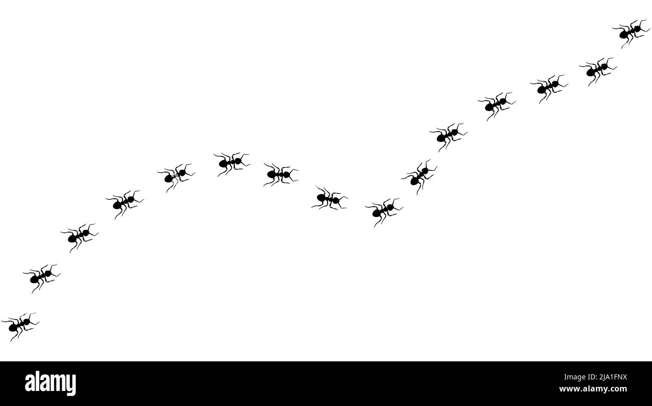 Ant trail A line of worker ants marching in search of food Vector illustration horizontal banner Ant road column Teamwork Hard work metaphor. Black in Stock Vector