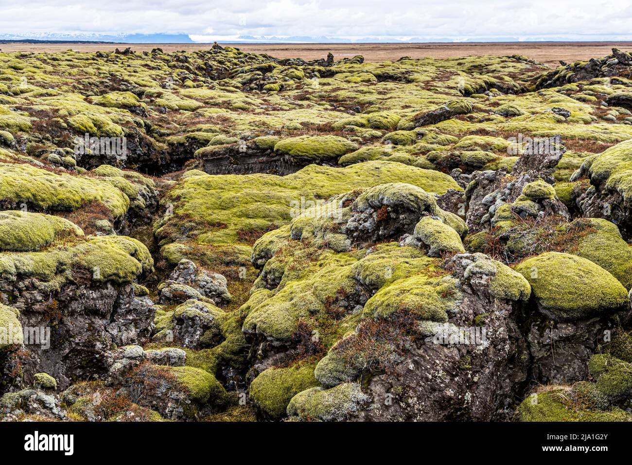 The Eldhraun (fire lava) is a huge lava field in Iceland, which today is mostly covered with moss. It is the largest lava field in the world and covers an area of 565 km². It was formed during the devastating Laki eruption in 1783/1784. Stock Photo