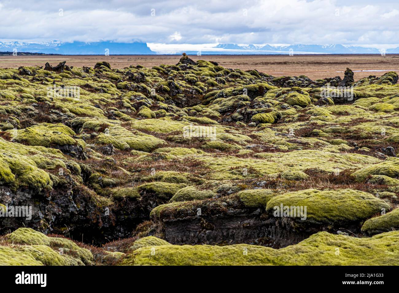 The Eldhraun (fire lava) is a huge lava field in Iceland, which today is mostly covered with moss. It is the largest lava field in the world and covers an area of 565 km². It was formed during the devastating Laki eruption in 1783/1784. Stock Photo