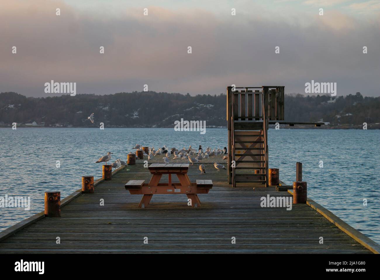 brew with seagulls Stock Photo