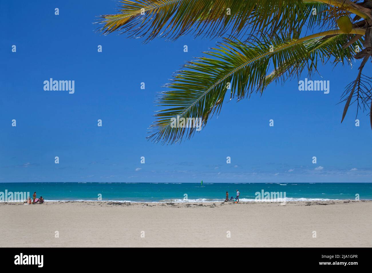 Beach surf palm San Juan Puerto Rico.tif Stock Photo Alamy