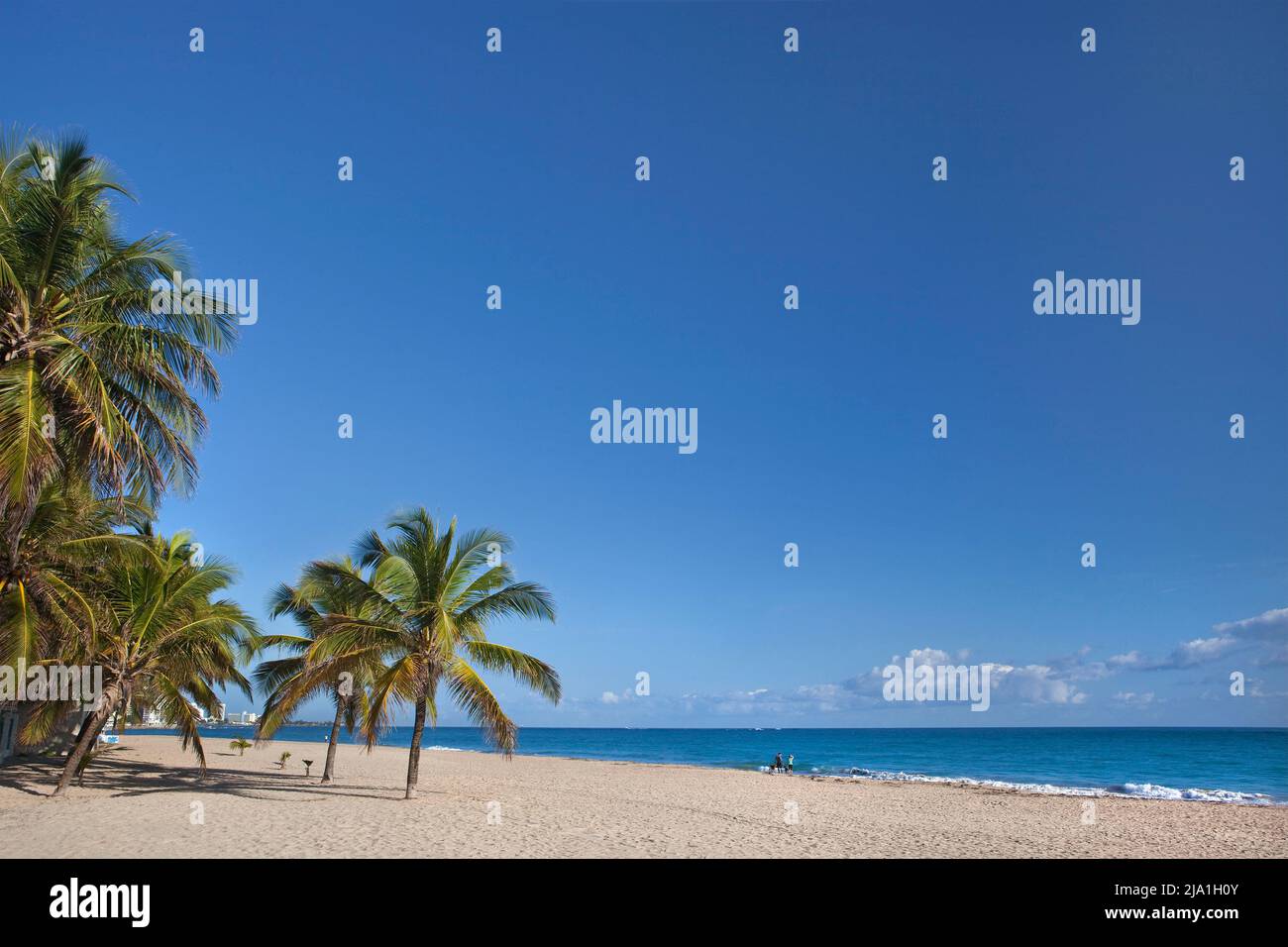 Palms beach San Juan Puerto Rico H Stock Photo - Alamy