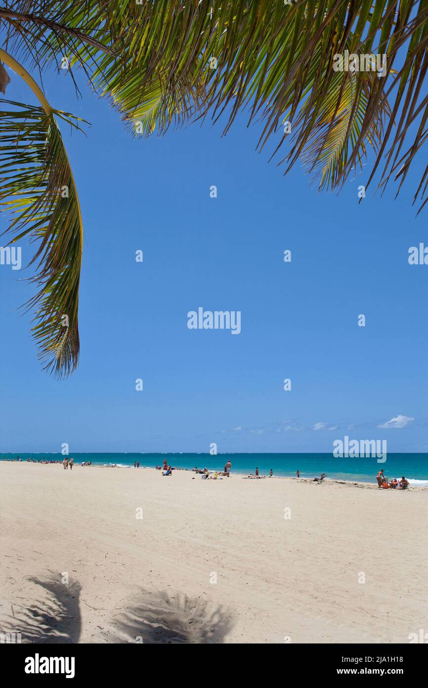 Palms beach San Juan Puerto Rico V Stock Photo - Alamy
