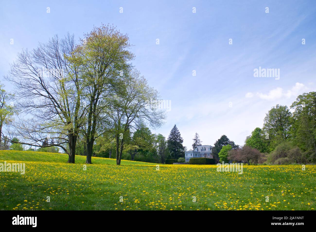 Wide angle view of the backyard of a mansion in springtime Stock Photo