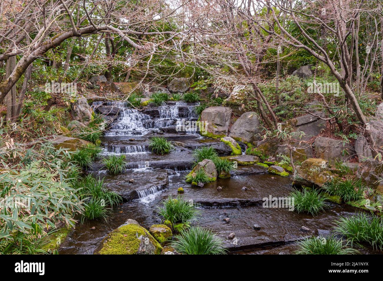 Himeji, Japan January 6, 2020. Exterior shot of a Japanese garden