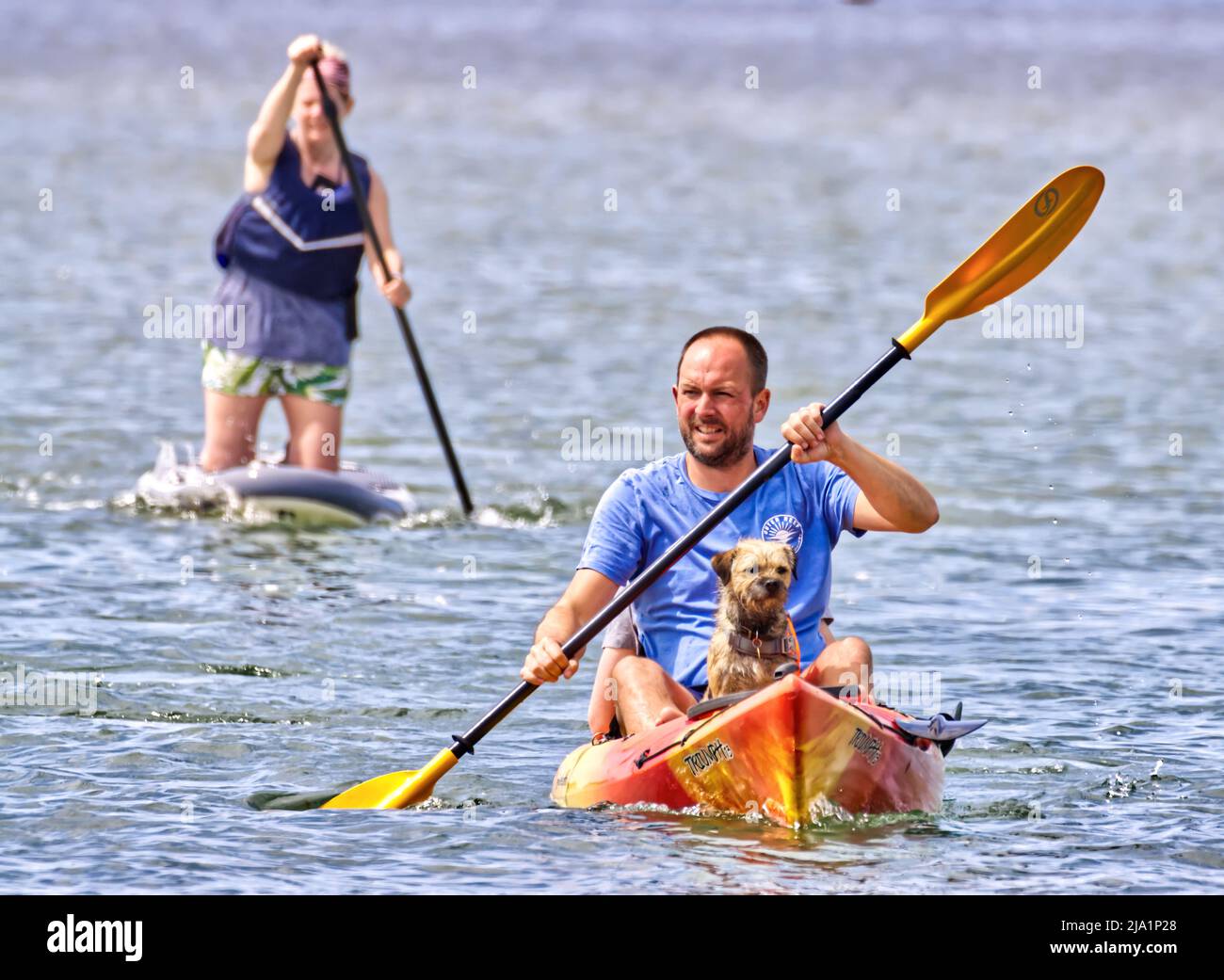 Paddle boarding with his best friend Stock Photo