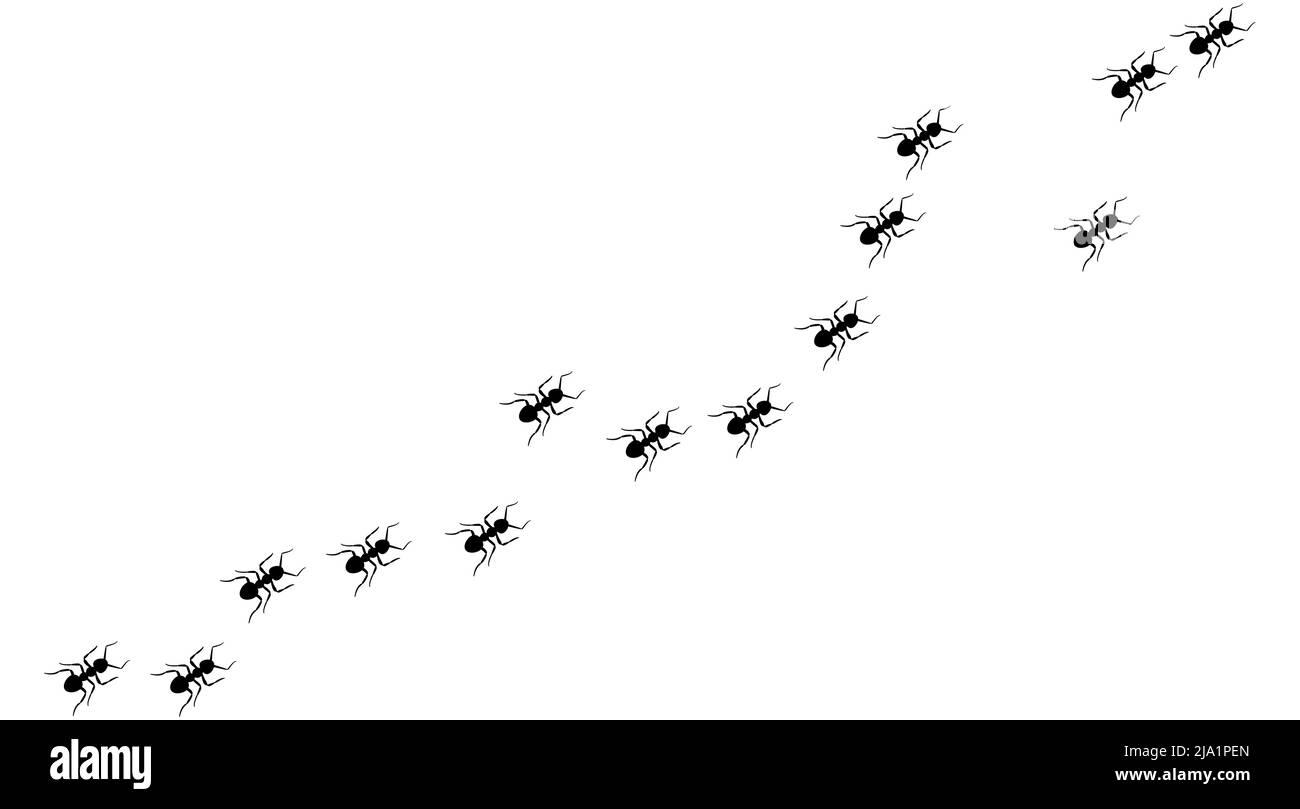 Ant trail A line of worker ants marching in search of food Vector illustration horizontal banner Ant road column Teamwork Hard work metaphor. Black in Stock Vector