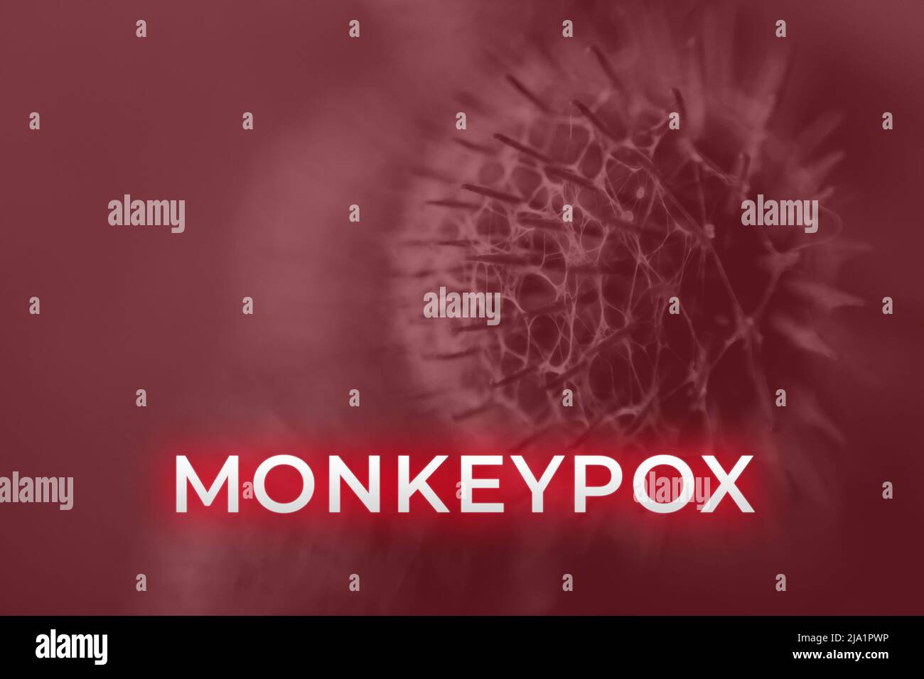Monkeypox virus. Red background. Outbreak concept. Virus transmitted to humans from animals. Monkeys may harbor the virus and infect people. New pande Stock Photo