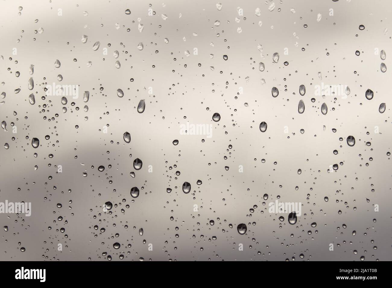Raindrops on a window Stock Photo