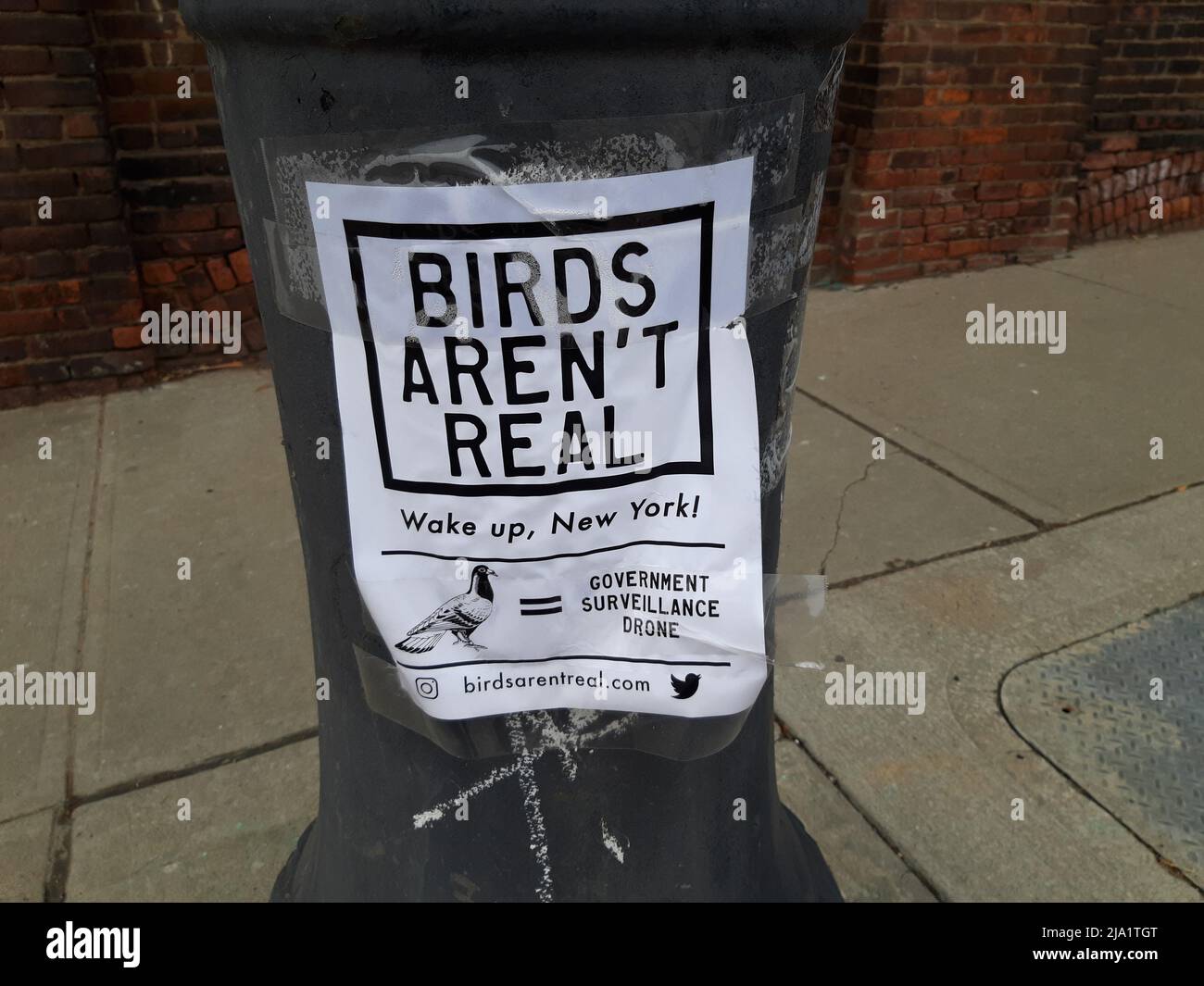 Birds aren't real flyer in Brooklyn, NY 2021 The events were all connected by a Gen Z-fueled conspiracy theory, which posits that birds don’t exist Stock Photo