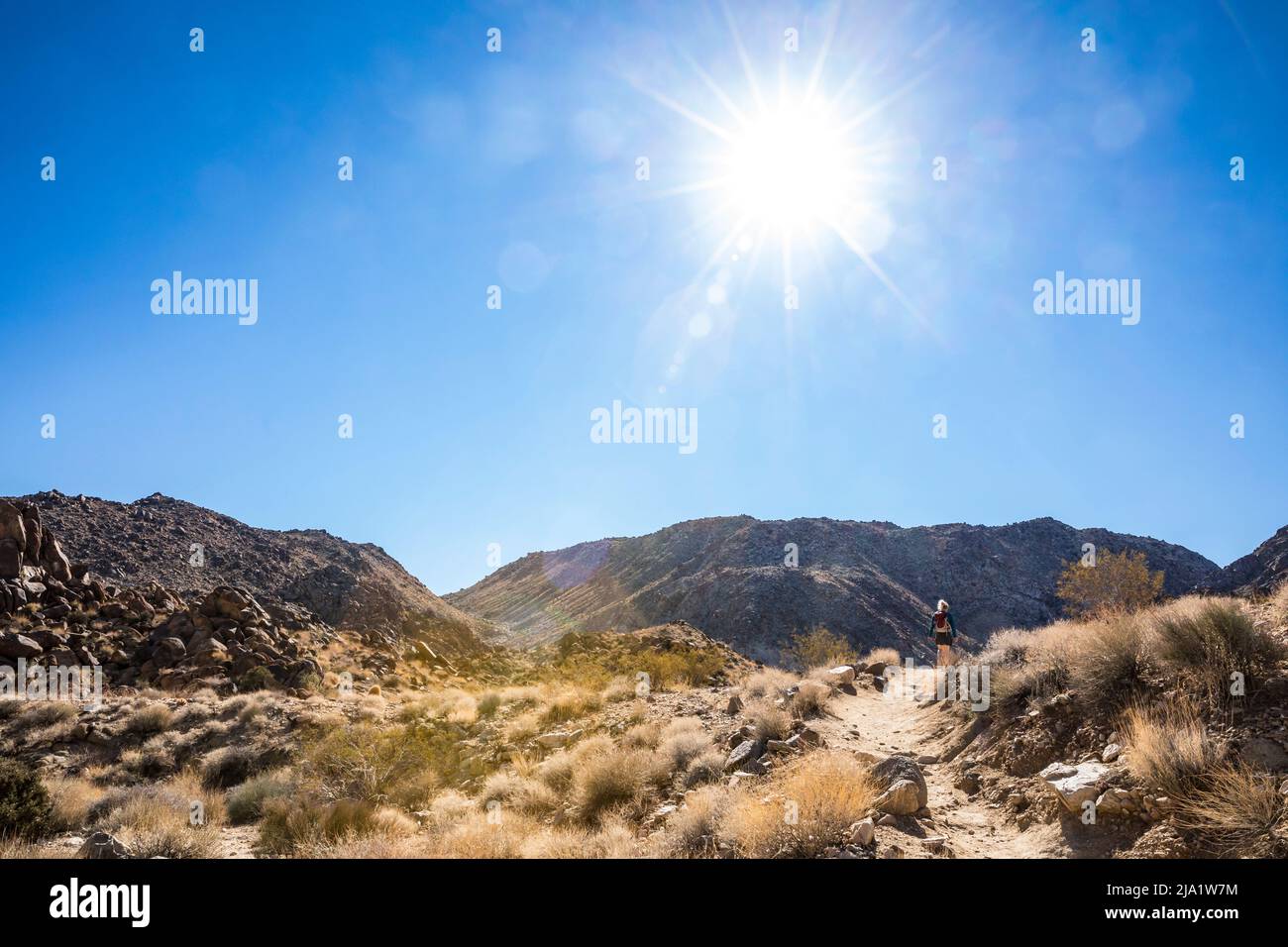 A woman hiking on the trail to Fortynine Palms Desert Oasis in Joshua Tree National Park. Stock Photo