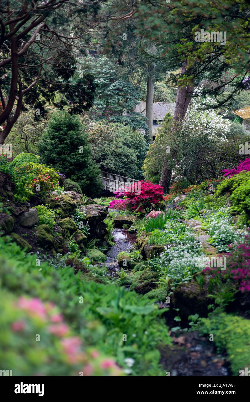 Garden with blooming trees during spring time Stock Photo