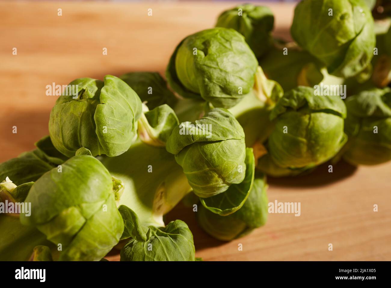 Raw, whole Brussels sprouts on their stalk grown in Lancaster, Pennsylvania, USA Stock Photo