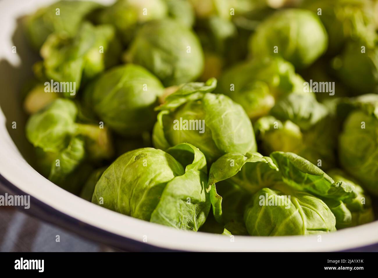 A bowl of raw, whole Brussels sprouts grown in Lancaster, Pennsylvania, USA Stock Photo