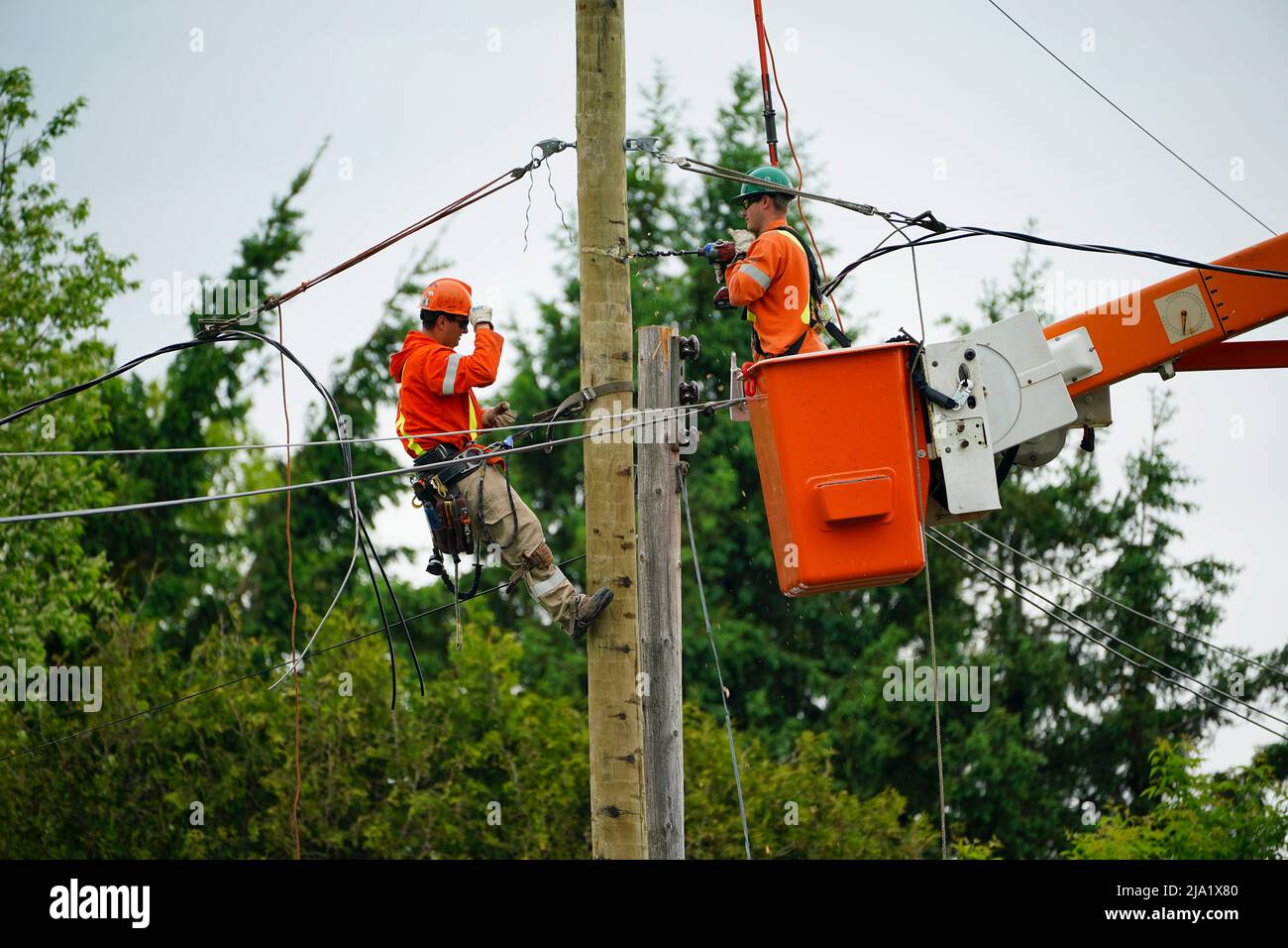 Hydro crews work to restore power in Clarence-Rockland, Ont., where a ...