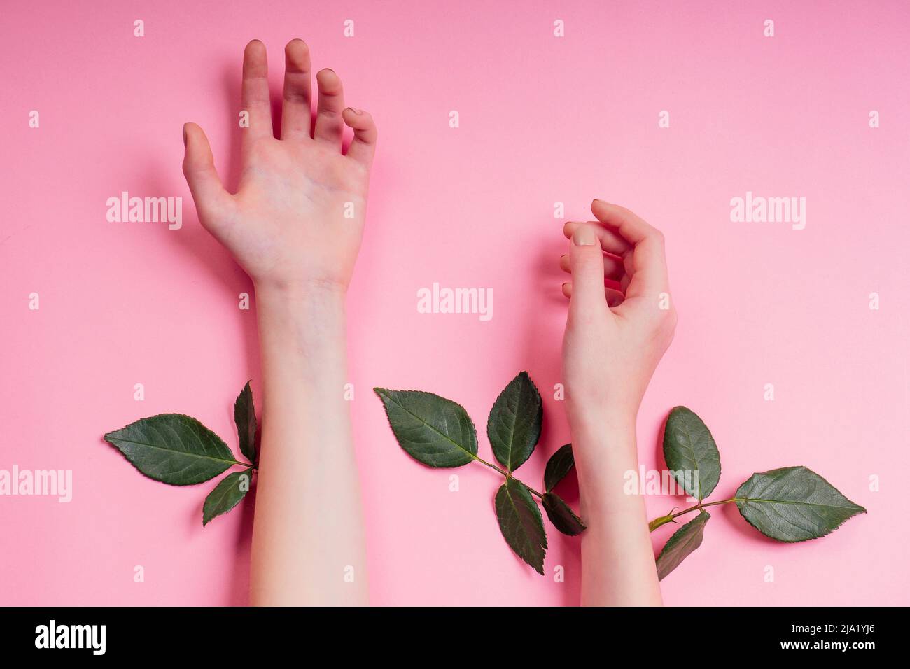 Fashion hand natural cosmetics women, Rose beautiful flowers leaves and