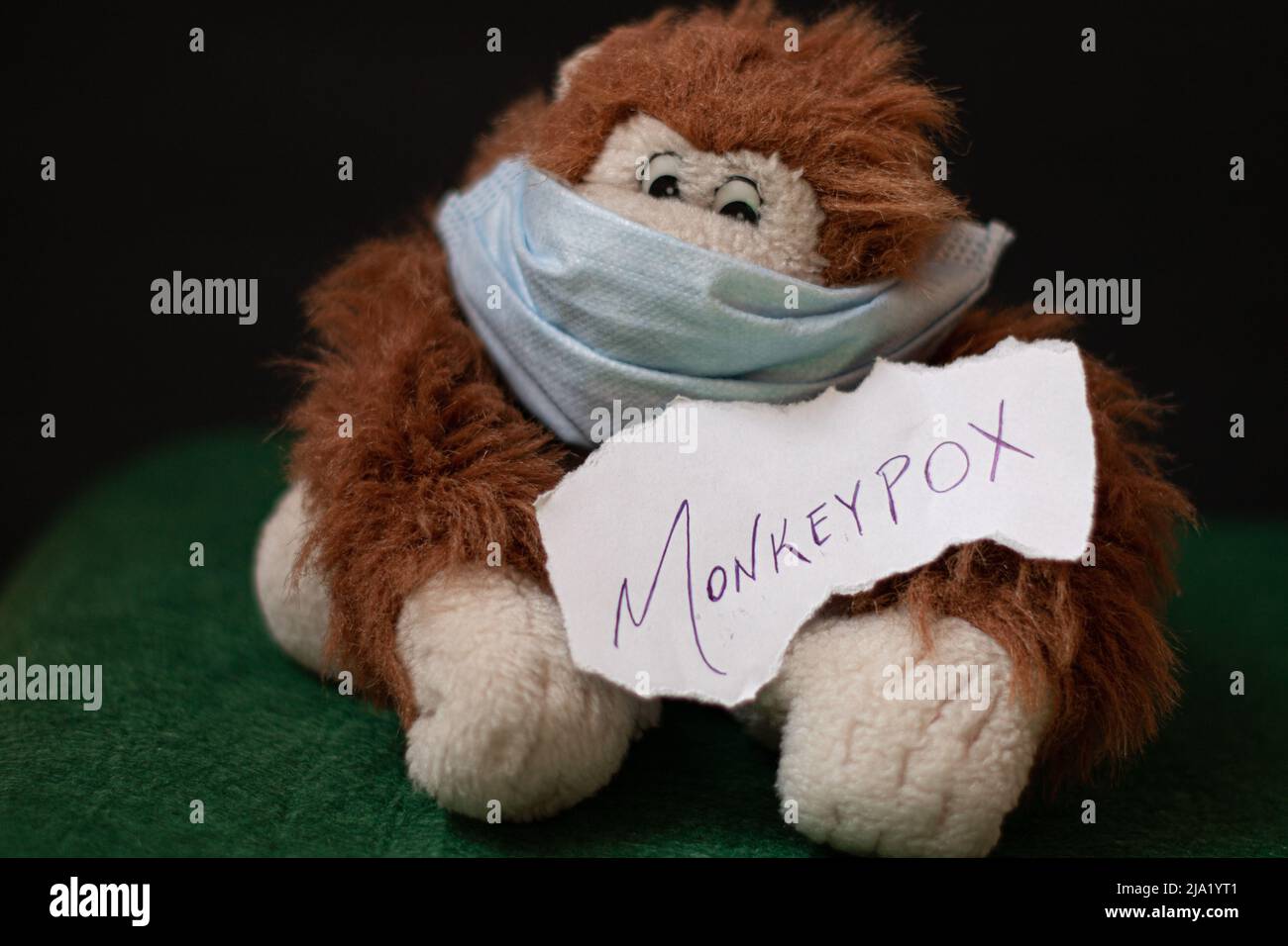 Masked Monkey toy holding tag with monkeypox Stock Photo