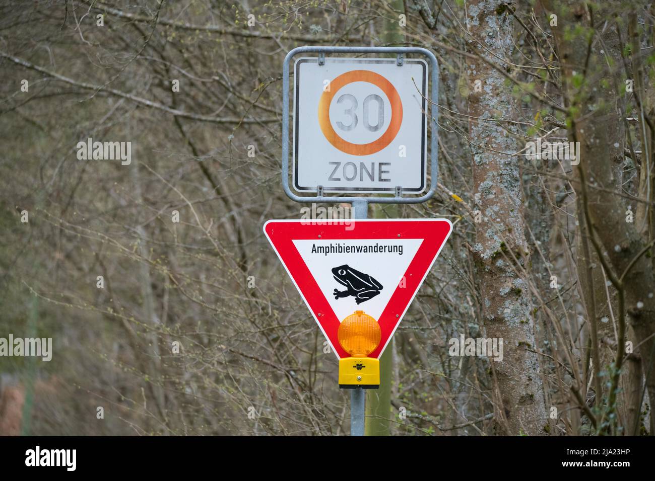 Sign Amphibian migration speed 30, nature conservation, Eifel, North Rhine-Westphalia, Germany Stock Photo