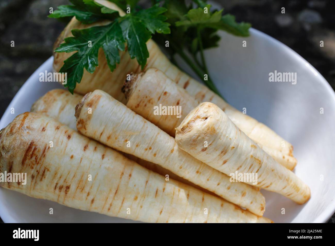 Swabian cuisine, preparation parsley root (Petroselinum crispum subsp. tuberosum) in peel, winter vegetables, traditional cuisine, vegetables Stock Photo