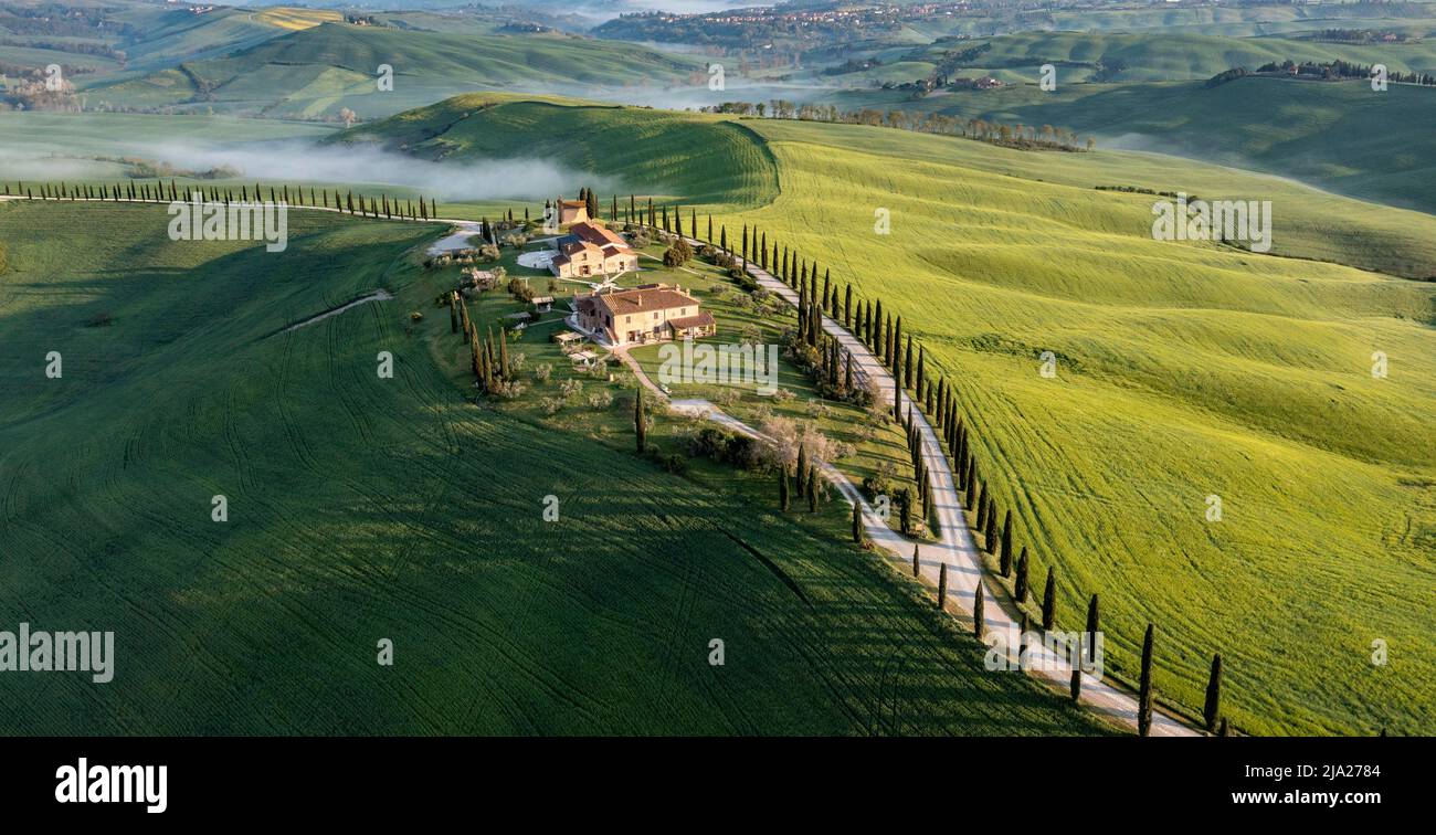 Aerial view, Typical winery, Agriturismo Baccoleno with cypresses  (Cupressus), sunrise, Crete Senesi, province of Siena, Tuscany, Italy Stock  Photo - Alamy
