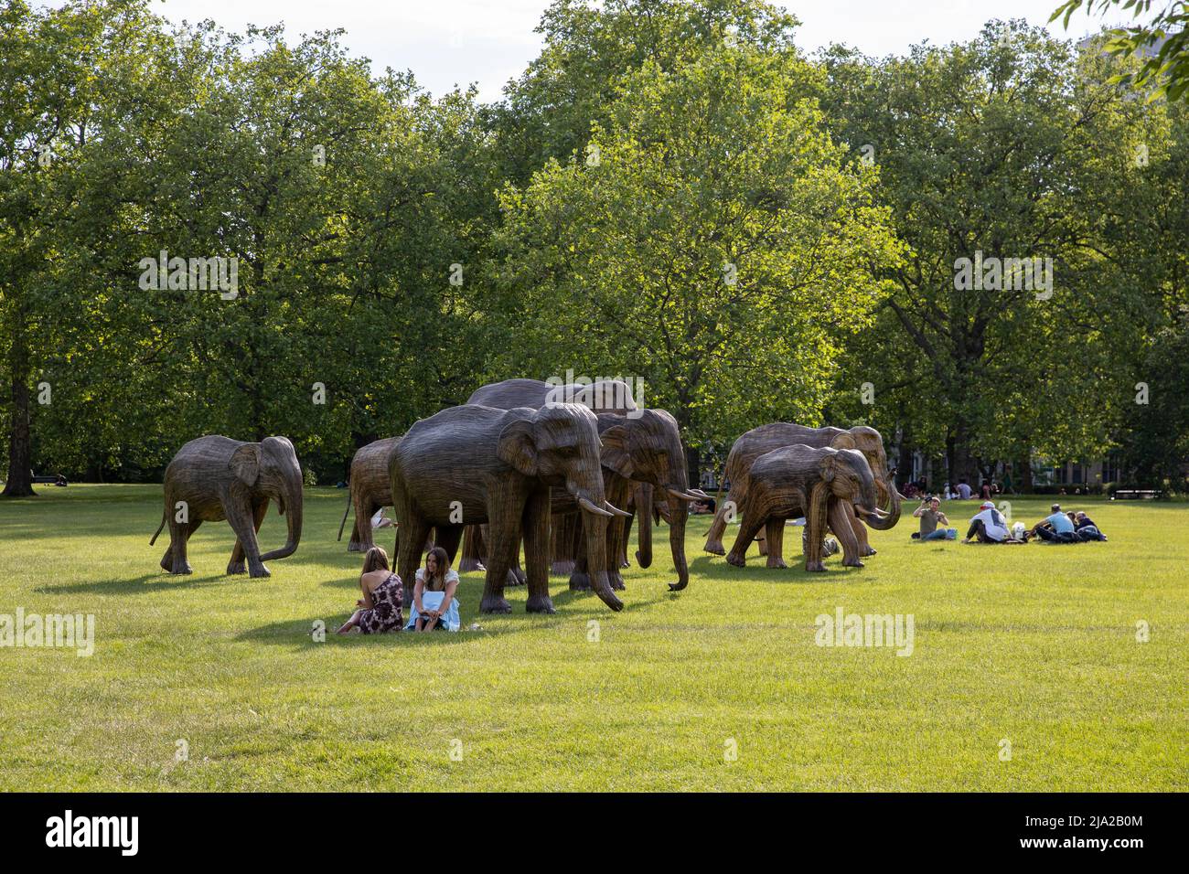 CoExistence campaign continues as 100 lifesize asian elephant
