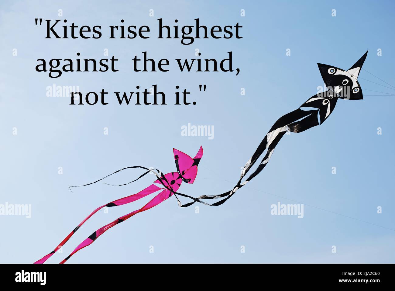 Kites rise highest against the wind, not with it. Motivational and