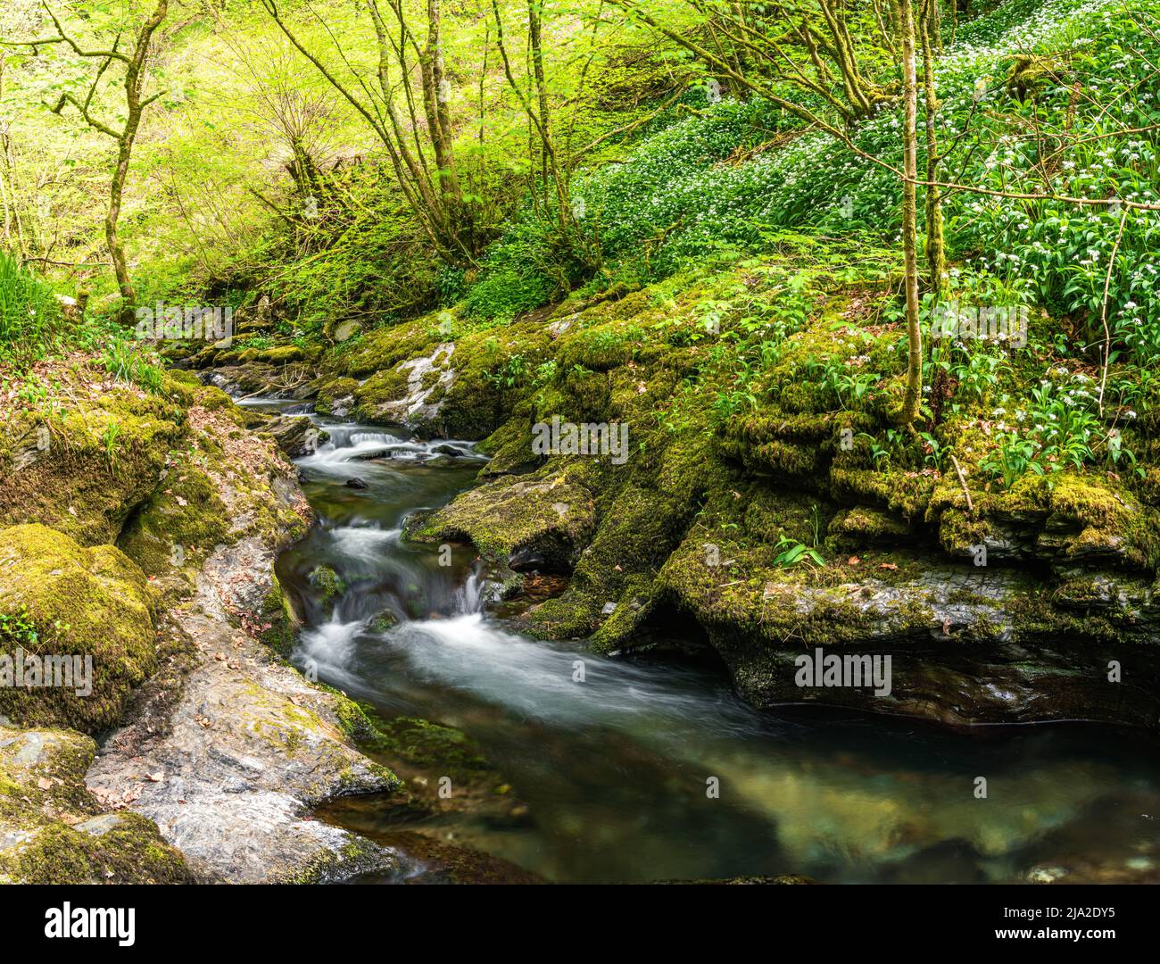 Lydford Gorge, Dartmoor Park, Okehampton, Devon, England Stock Photo
