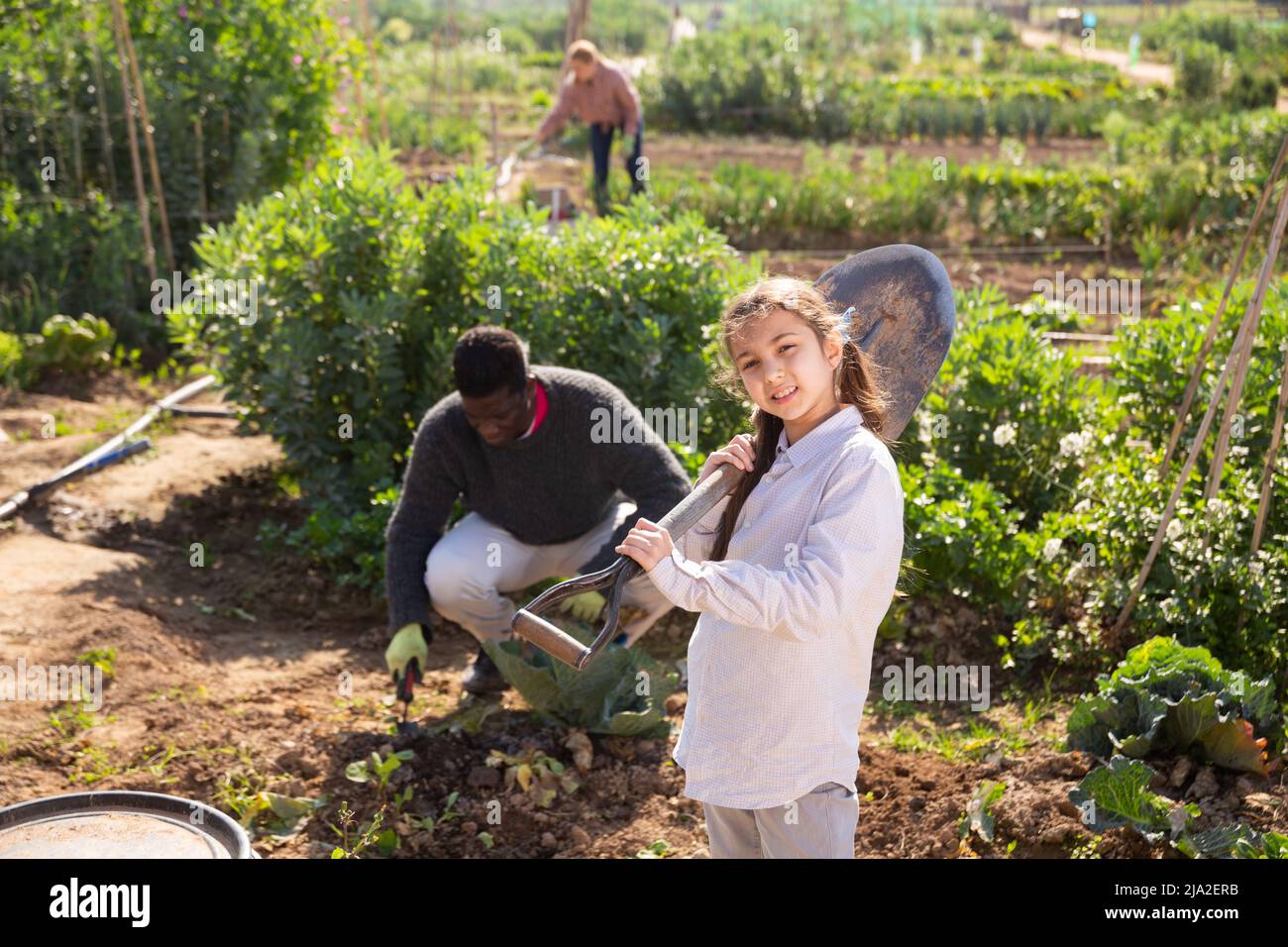 Portrait of a teenage girl with a shovel in the vegetable garden Stock ...