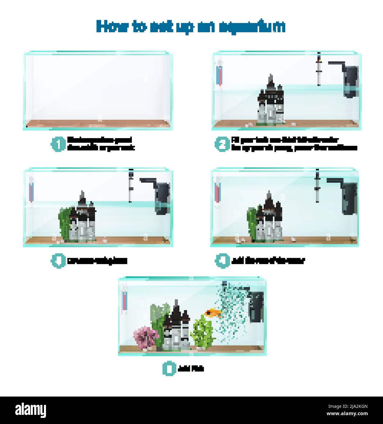 Fish tank aquarium setup realistic infographic guide steps cleaning adding gravel water air pump