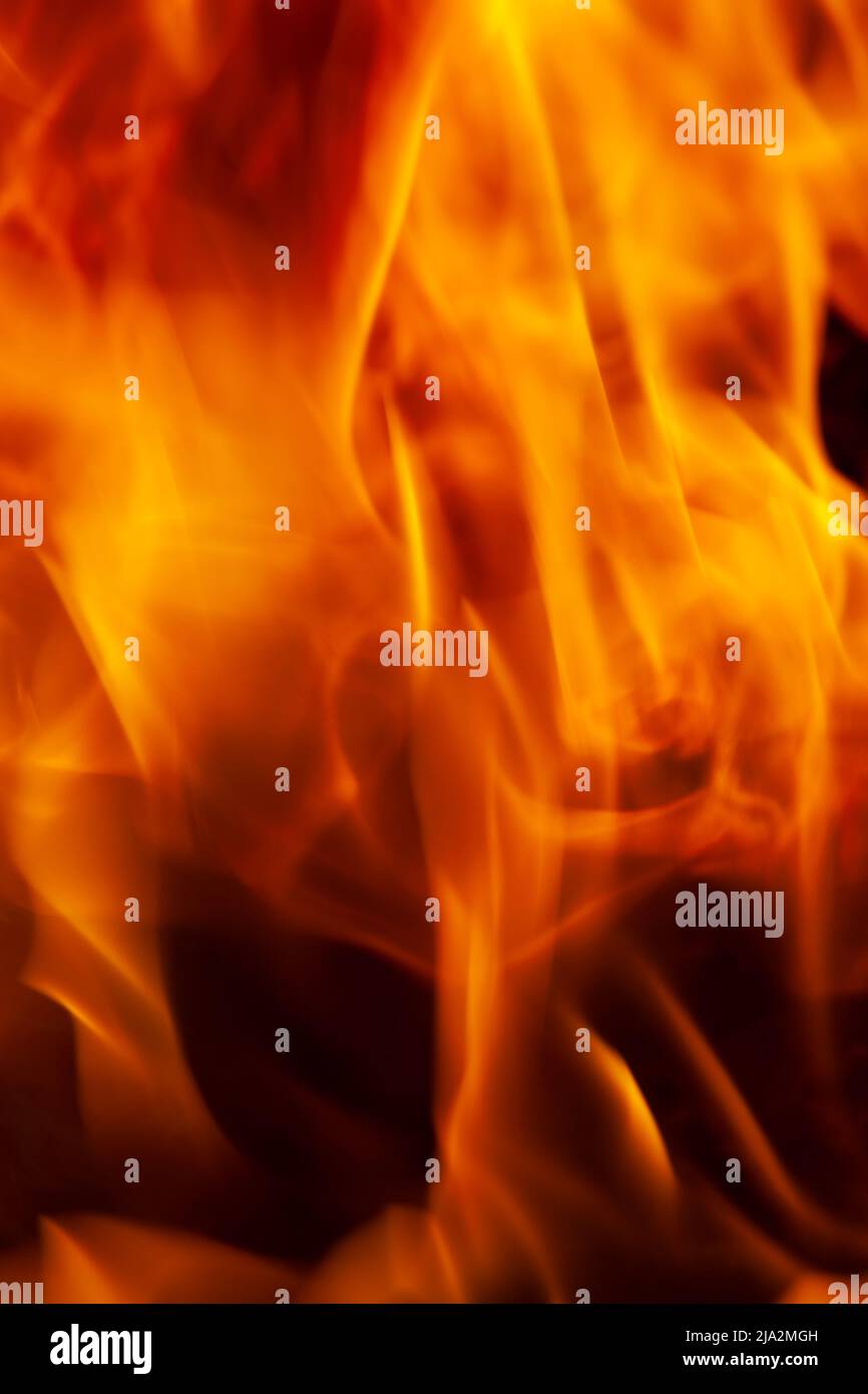 a fire made of logs with a bright flame at a camping while cooking, a