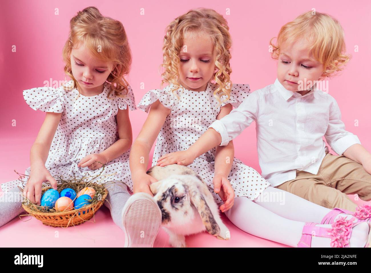 three little blonde child with a bunny rabbit easter in studio pink background.beautiful boy and girls kids celebrating Easter Holiday with pets Stock Photo