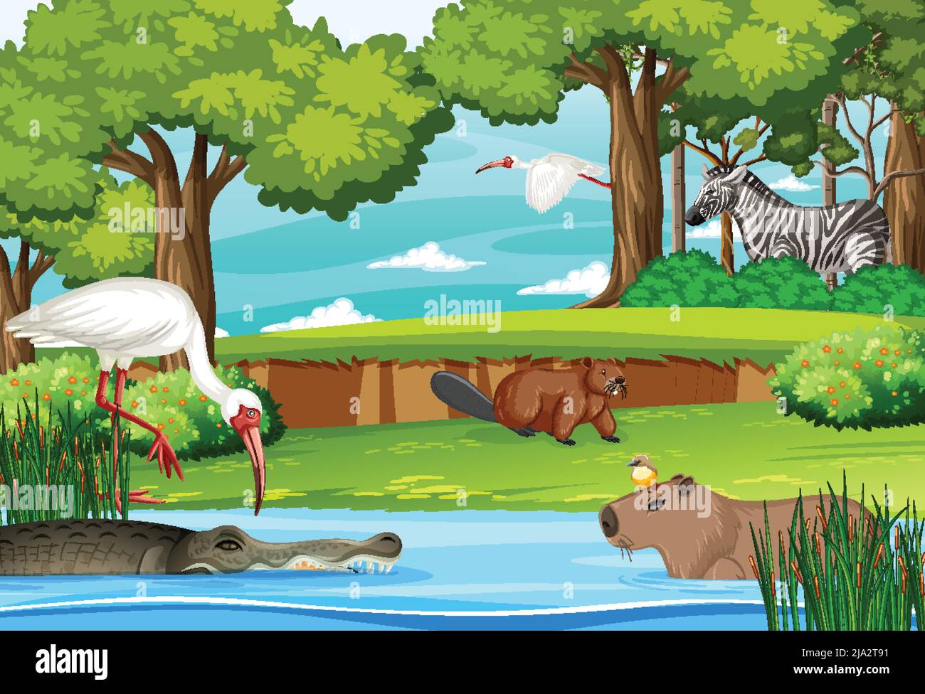 Various animals in the pond illustration Stock Vector Image & Art - Alamy