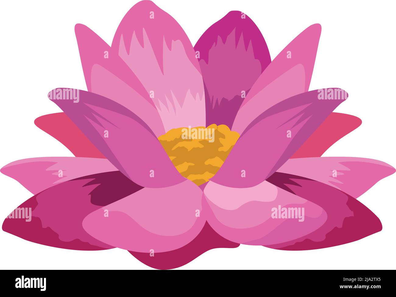 pink lotus flower Stock Vector Image & Art - Alamy