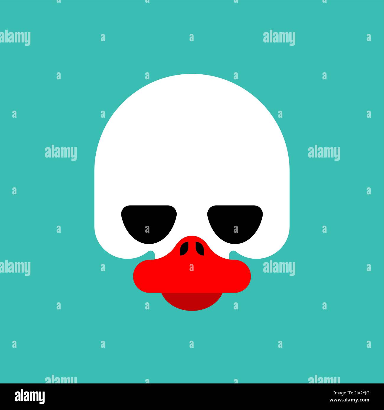 Duck skull isolated. Duck braincase Vector illustration Stock Vector