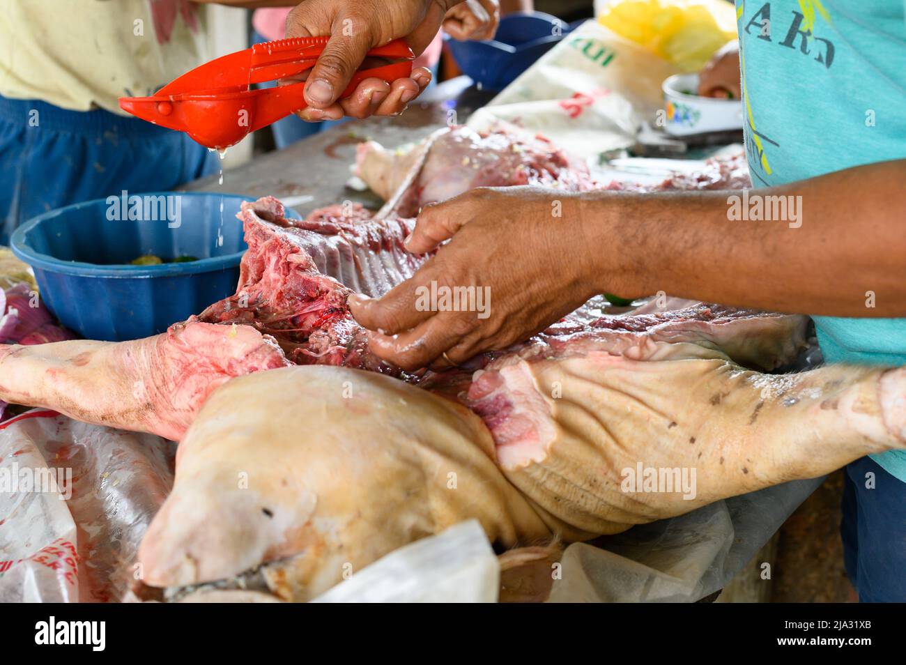 Preparation and dressing of a small suckling pig to cook over a wood fire Stock Photo