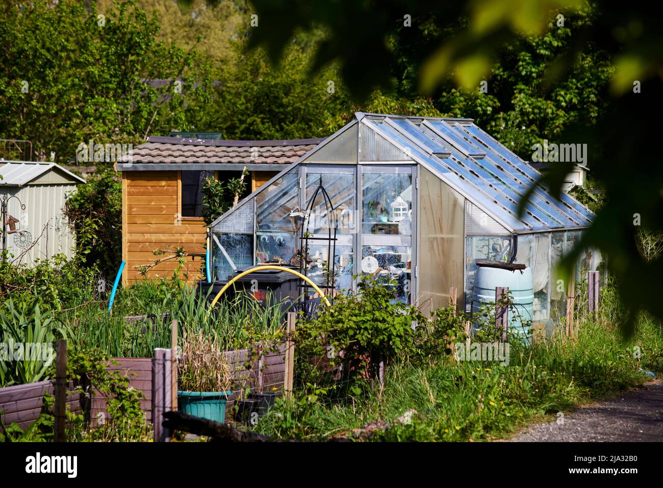 Abbey Hey Allotments, in Gorton, Manchester Stock Photo