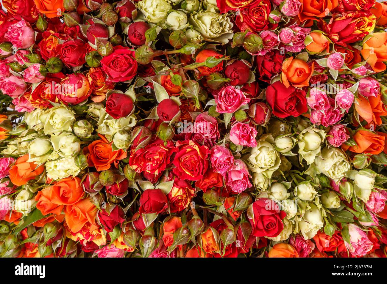 Beautiful flowers background for wedding scene. Stock Photo